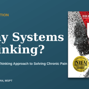 A Systems-Thinking Approach to Solving Chronic Pain