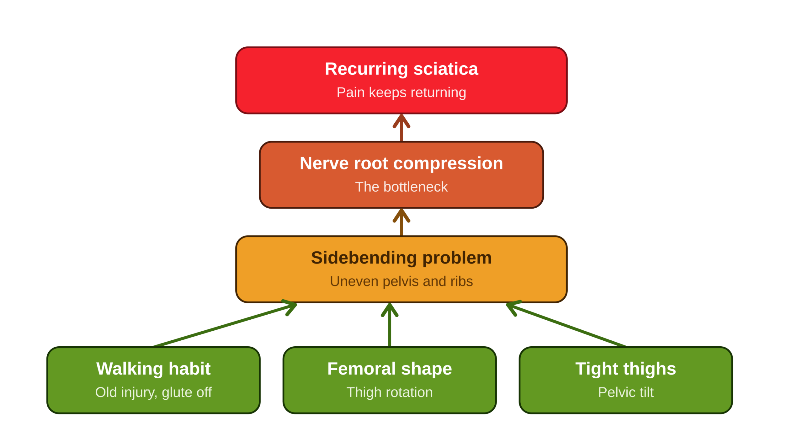 Diagram of the chain from lower-body drivers to a sidebending problem, nerve compression, and sciatica